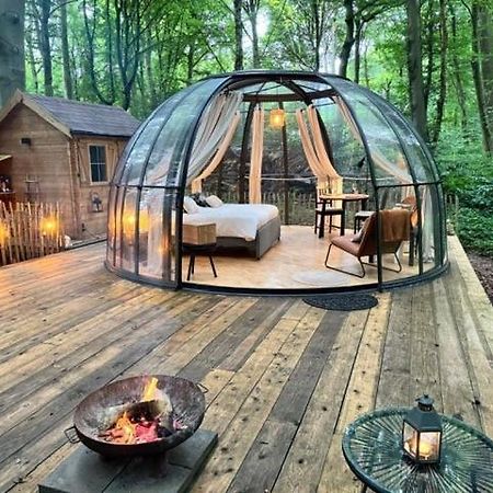 Le Dome De Namur - Une Nuit Insolite Dans Les Bois Exteriér fotografie