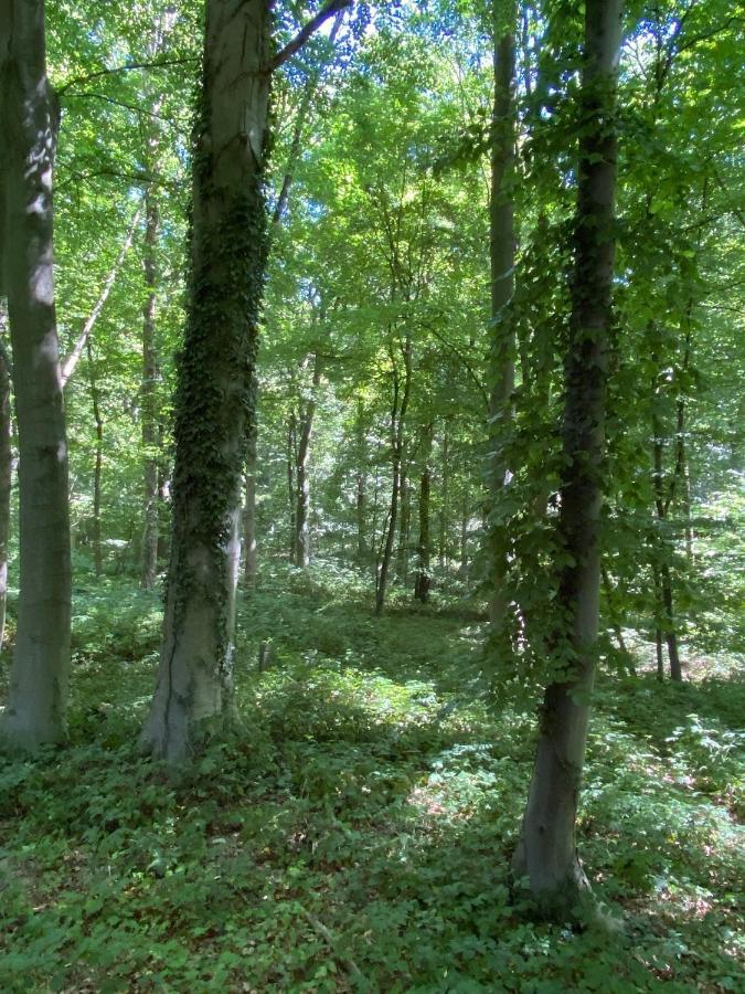Le Dome De Namur - Une Nuit Insolite Dans Les Bois Exteriér fotografie