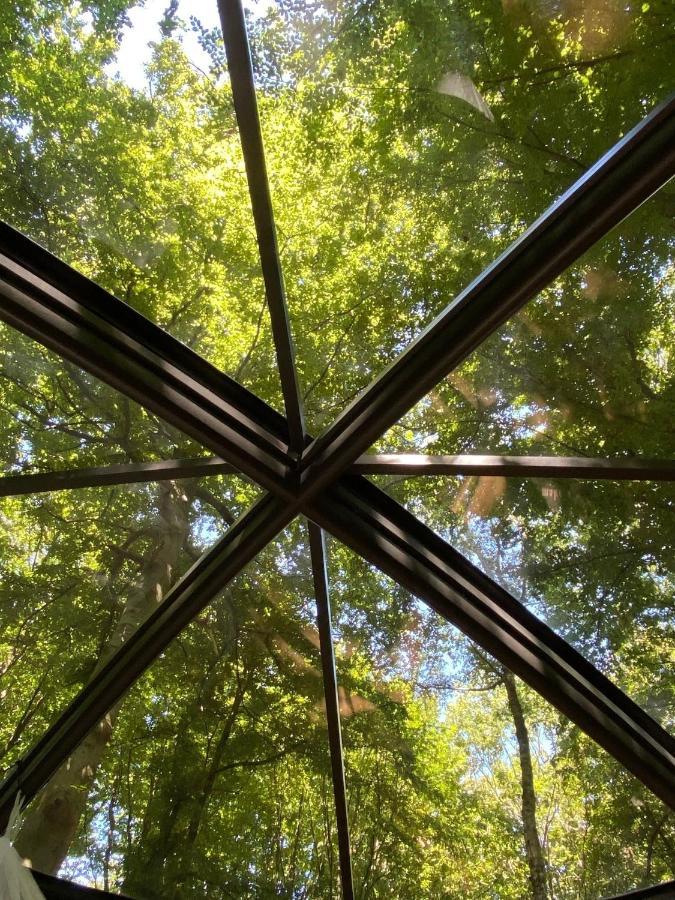Le Dome De Namur - Une Nuit Insolite Dans Les Bois Exteriér fotografie