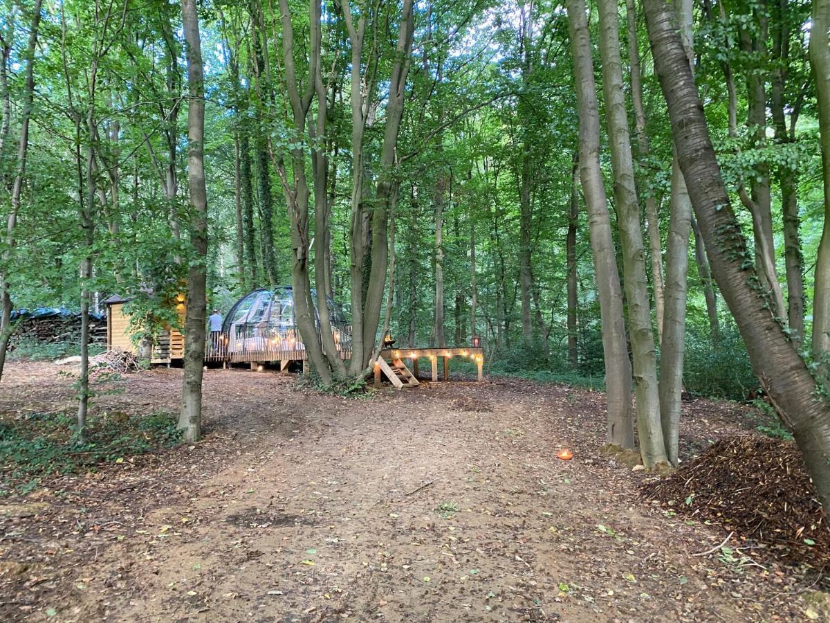 Le Dome De Namur - Une Nuit Insolite Dans Les Bois Exteriér fotografie