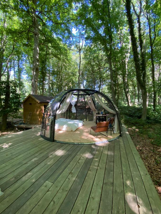 Le Dome De Namur - Une Nuit Insolite Dans Les Bois Exteriér fotografie