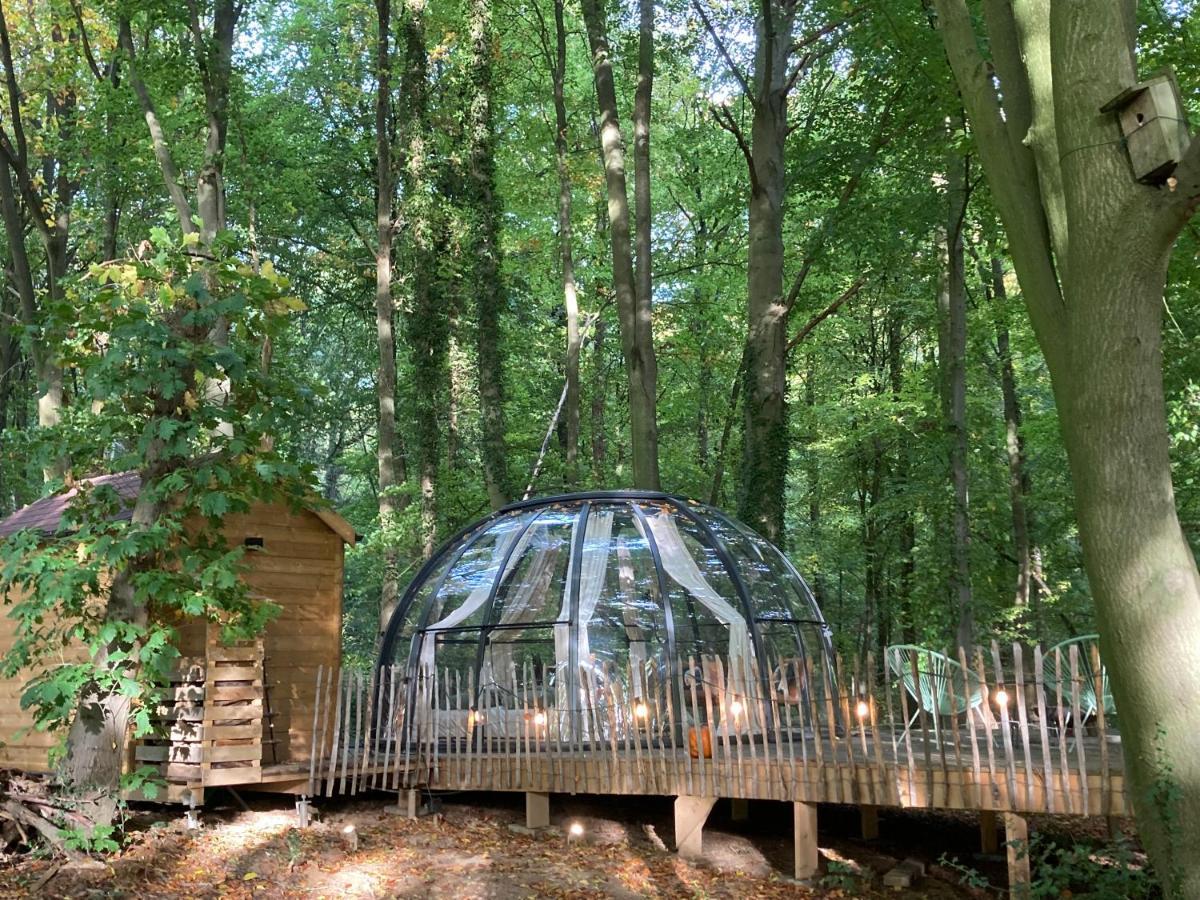 Le Dome De Namur - Une Nuit Insolite Dans Les Bois Exteriér fotografie