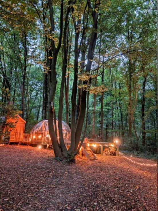 Le Dome De Namur - Une Nuit Insolite Dans Les Bois Exteriér fotografie