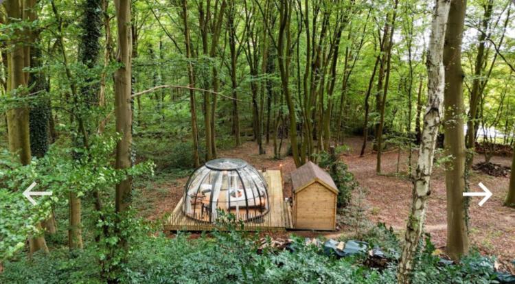 Le Dome De Namur - Une Nuit Insolite Dans Les Bois Exteriér fotografie