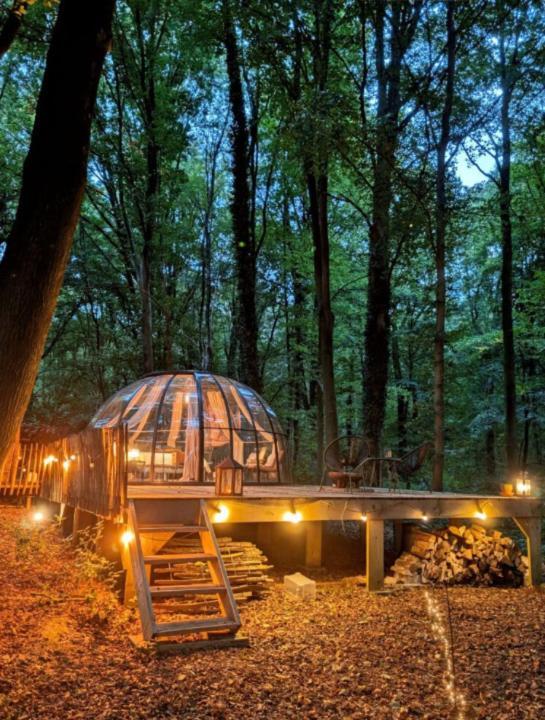 Le Dome De Namur - Une Nuit Insolite Dans Les Bois Exteriér fotografie